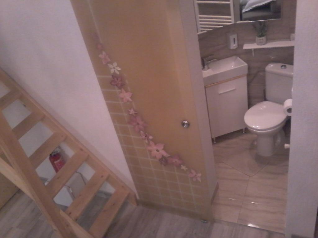 Ferienwohnung Duplex Alexander Brașov Exterior foto
